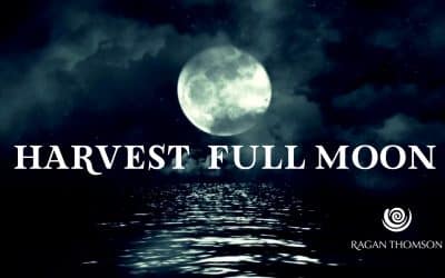 Harvest Full Moon