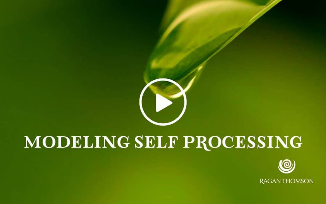 Modeling Self Processing