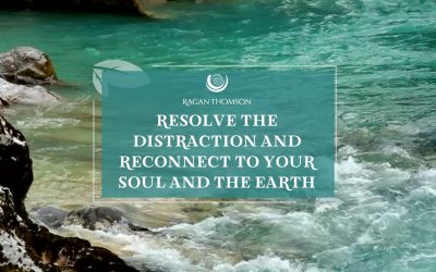 Resolve The Distraction and Reconnect to Your Soul and The Earth