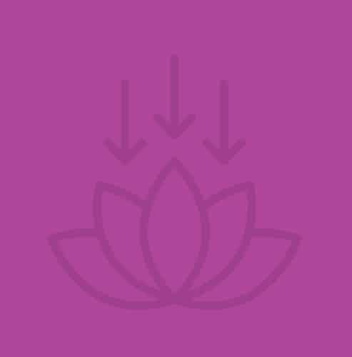 divine alignment transmission icon